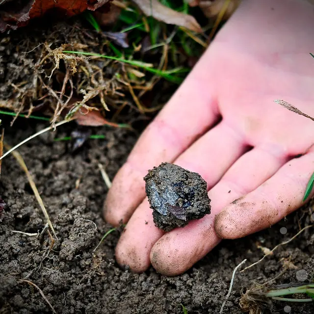 00809-OTVD-CC-BY-NCCochise-Ory---Vallee-de-la-Dordogne.jpg-1200px