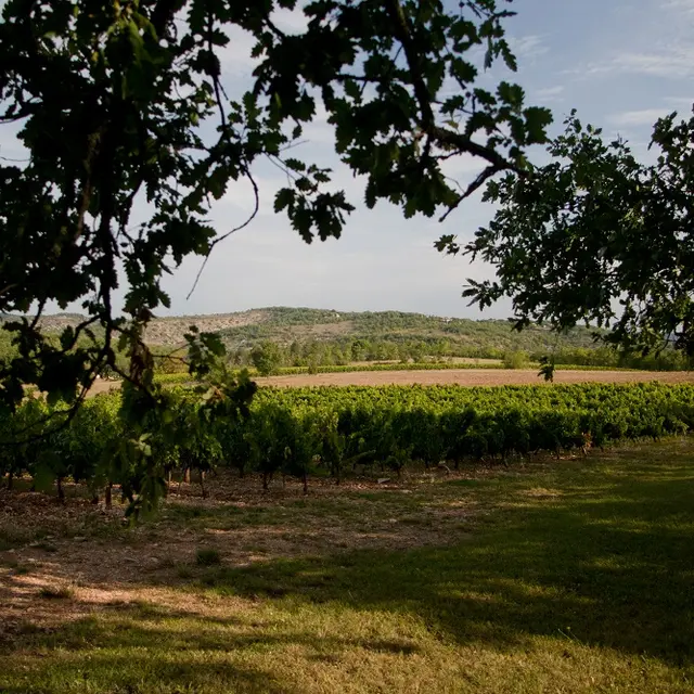 domaine du souleillan