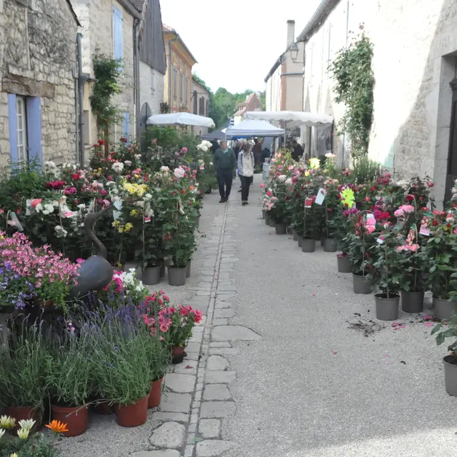 05 - 9 mai - Foire aux plantes et aux fleurs Montfaucon - photo
