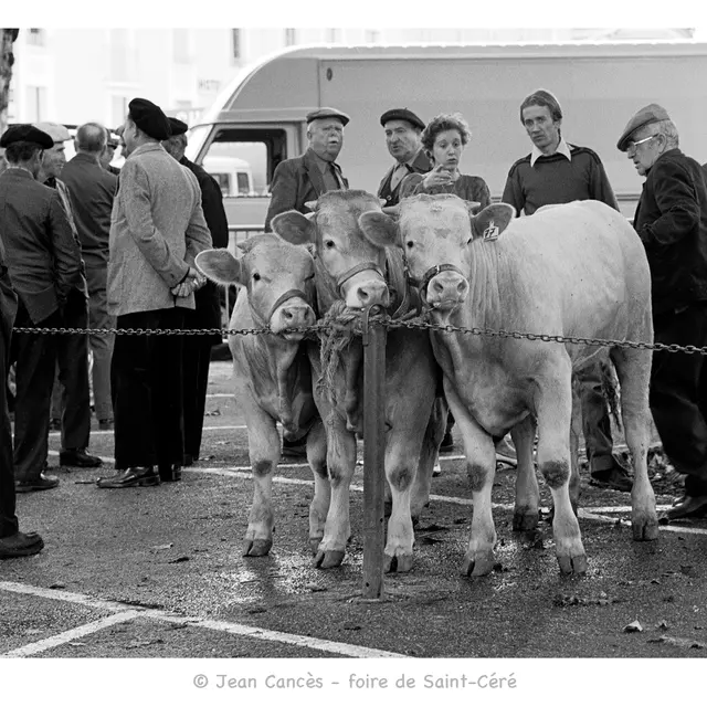 050724-Foires 19851990 de Jean Cances-Animasaignes