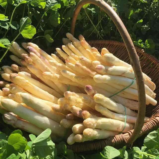 0La ferme de mirande_Bétaille