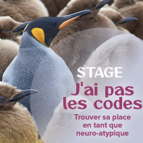 06 - 13 juin - J'ai pas les codes - image