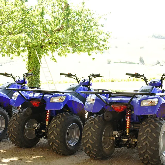 1 Sport Loisirs Nature - randonnée et initiation quad