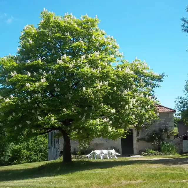 maison extérieur