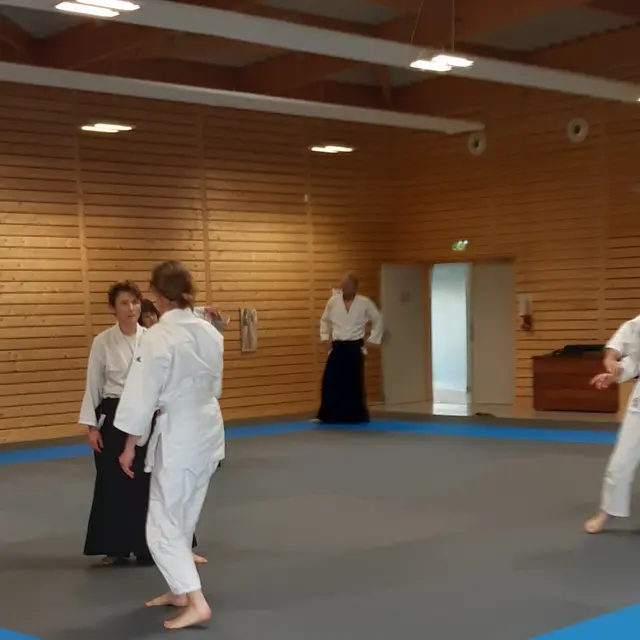12-10-1-AIKIDO (2)
