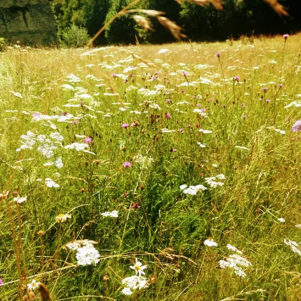 12-Aire naturelle Moulin de Lacombe