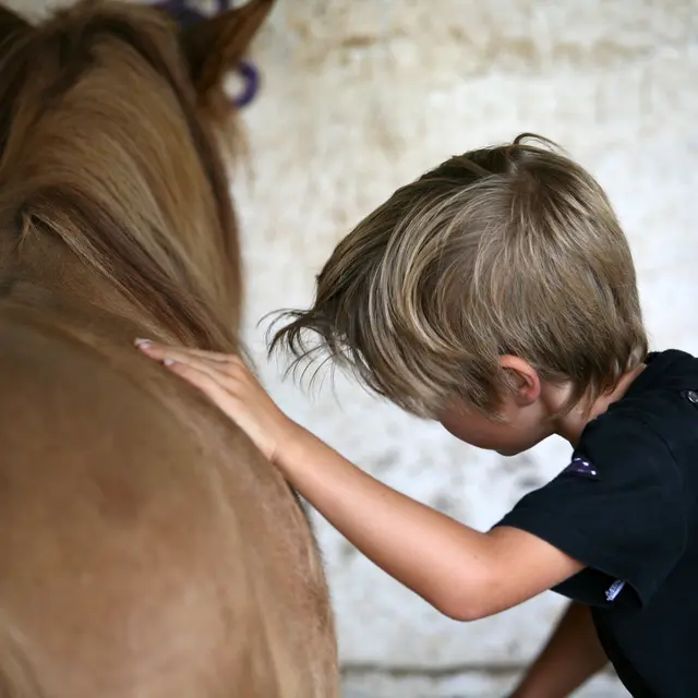 Equitation