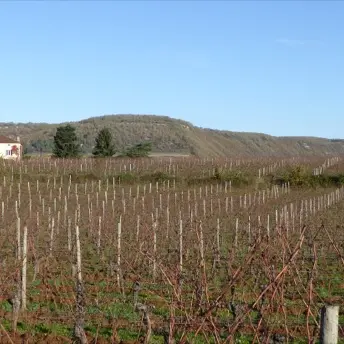 151204dauliac