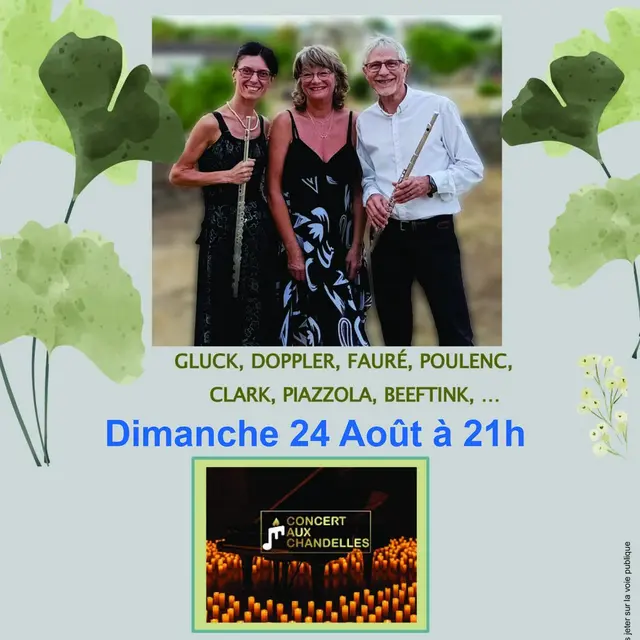 171214df6e2eddffce358c67db5161c2_concert-tr