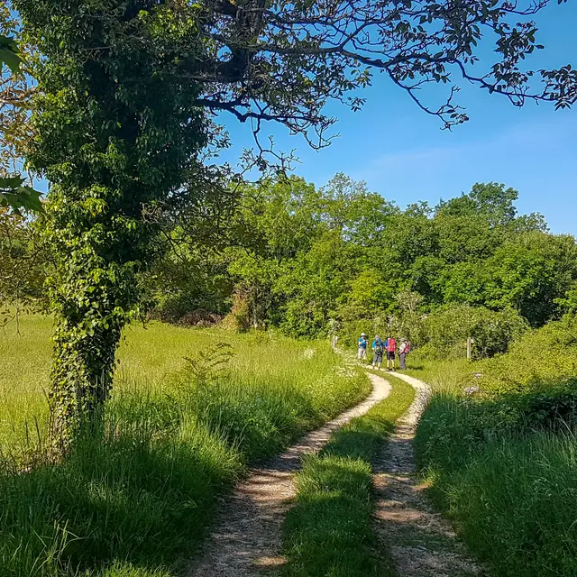 Rando sur le circuit du Rebord du Causse aux Falaises