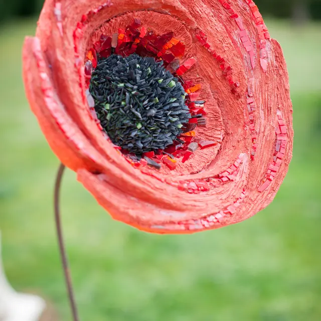 coquelicot