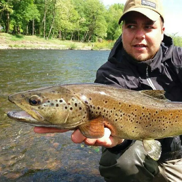 Bétaille - Guide pêche Mickael Andrieu