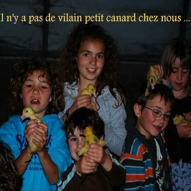 190215FermeDesCazalous_Puyjourdes1
