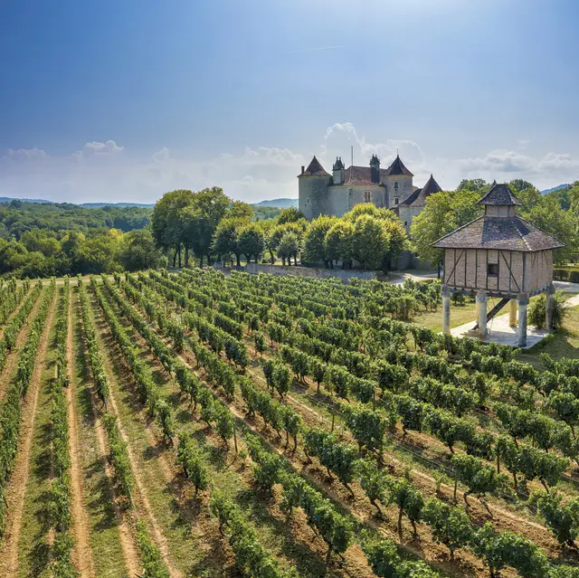 Pigeonnier et Château Lagrézette