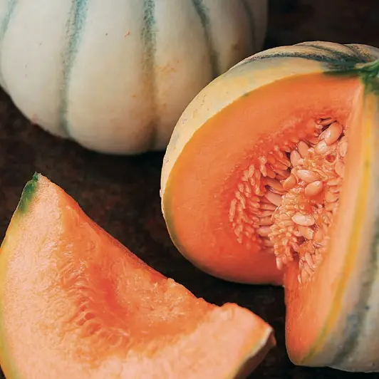 Melon du Quercy
