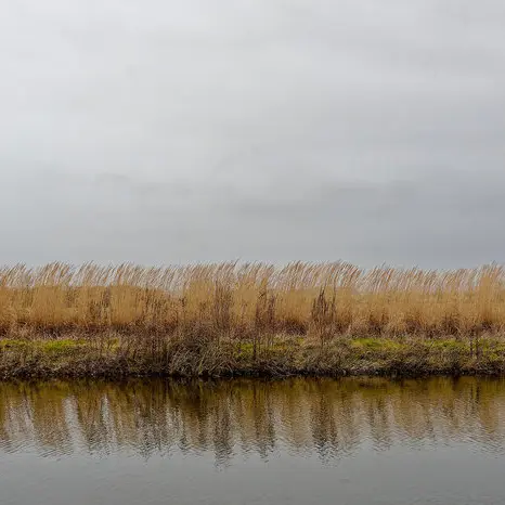 1cc635_4d361b38ec7246db877318fae4a59c19~mv2