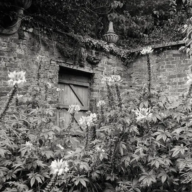 1cc635_b21aa4f9eb284a02b8c625dee08c03dc~mv2