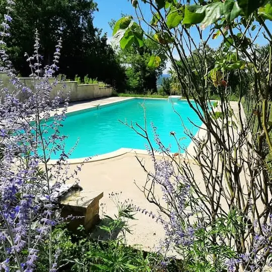 Gite de foyt - Piscine