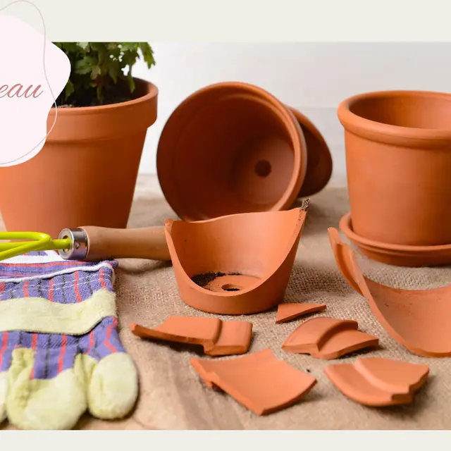 2024_05_31__Pot_casse_copie