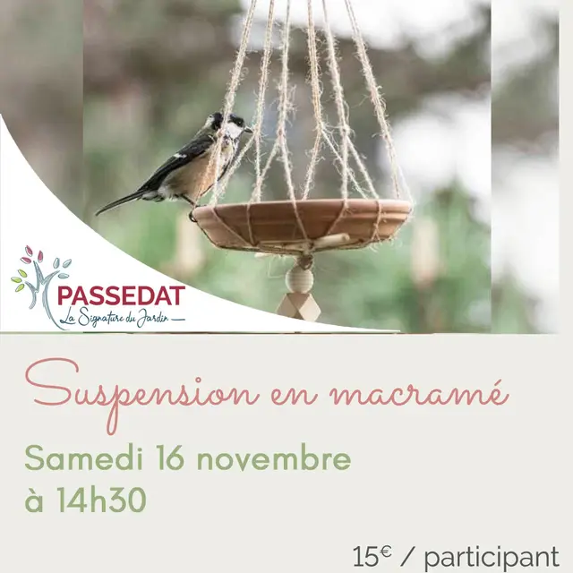 2024 11 16_macramé mangeoire copie