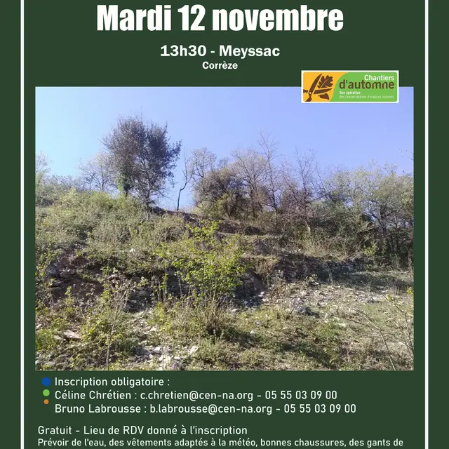 2024_11_12_Meyssac_19-chantier