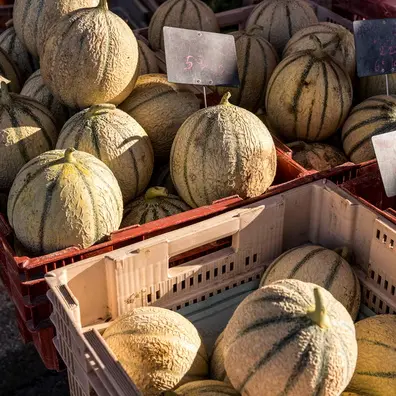 20250123165431-30372dea-me