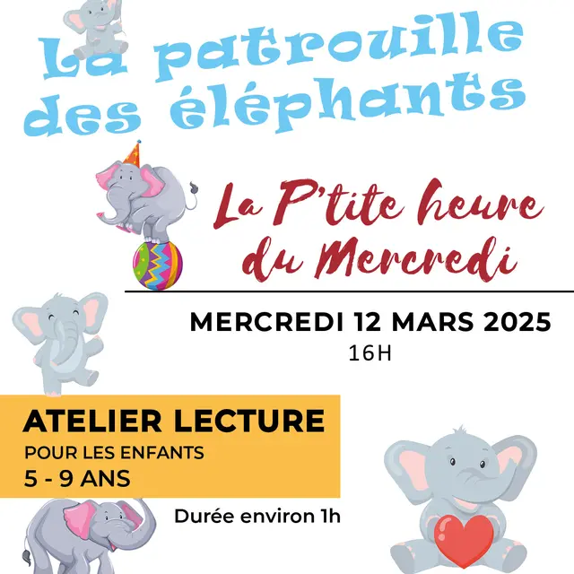 20250219_La-patrouille-des-elephants