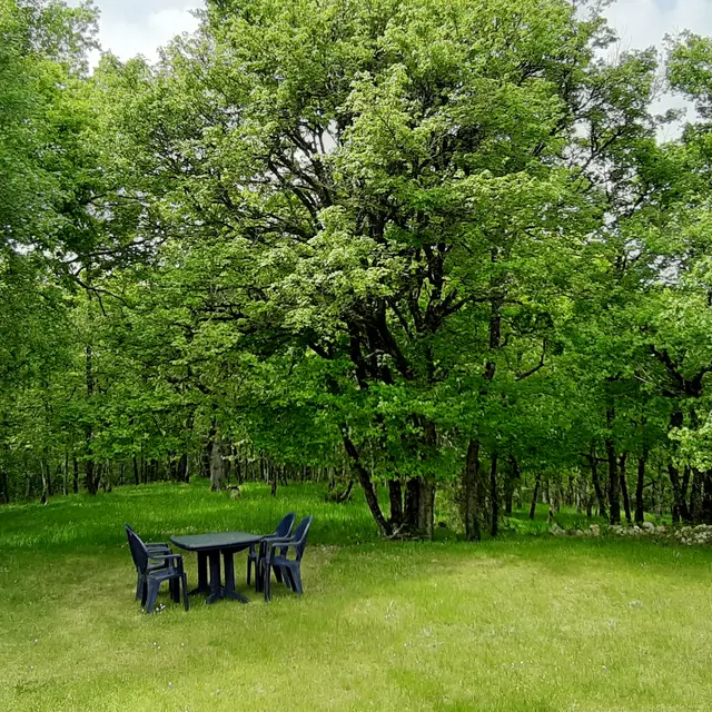 Déjeuner dans la nature
