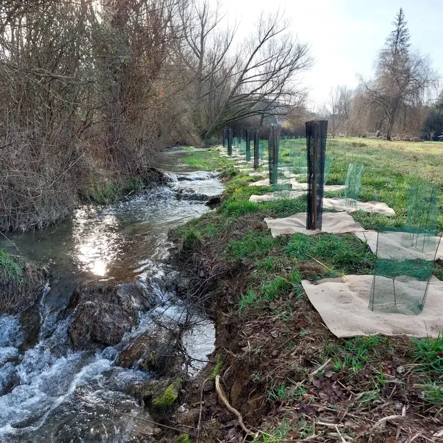 20250614 SOUILLAC PLANTATION RUISSEAU TOURNEFEUILLE
