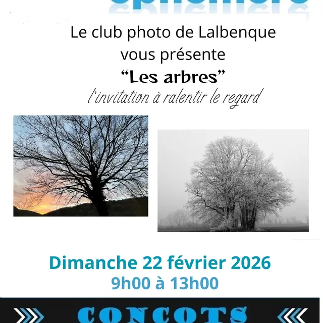 Le club photo de Lalbenque vous présente “Les arbres” l’invitation à ralentir le regard - 1