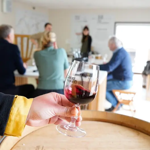 Dégustation de vin à Vinoltis