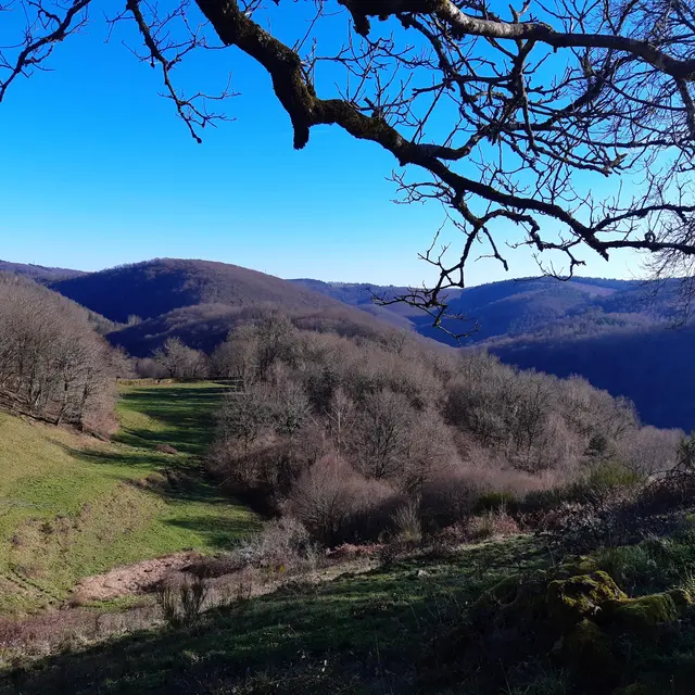 Leconet