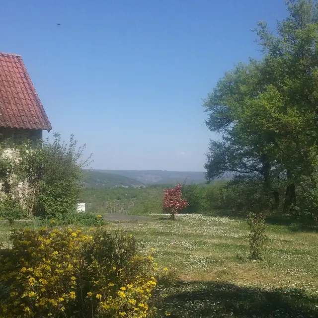 Le Rosier
