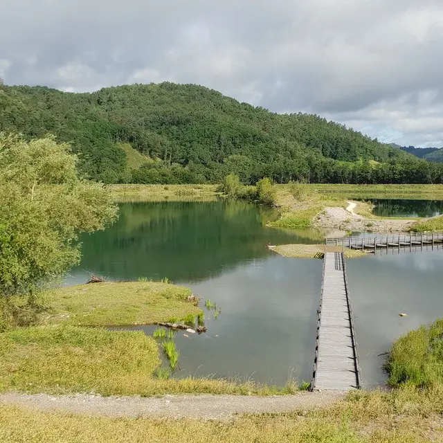 Réserve Départementale de Biodiversité - vue d'ensemble