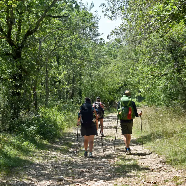 210719_Pèlerins sur le chemin à Limogne GR65