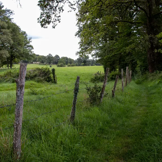 Paysages du Ségala - Circuit du Roc de France à Latronquière