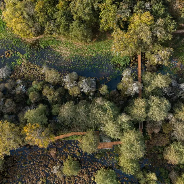 Vue drone des marais de la Masse