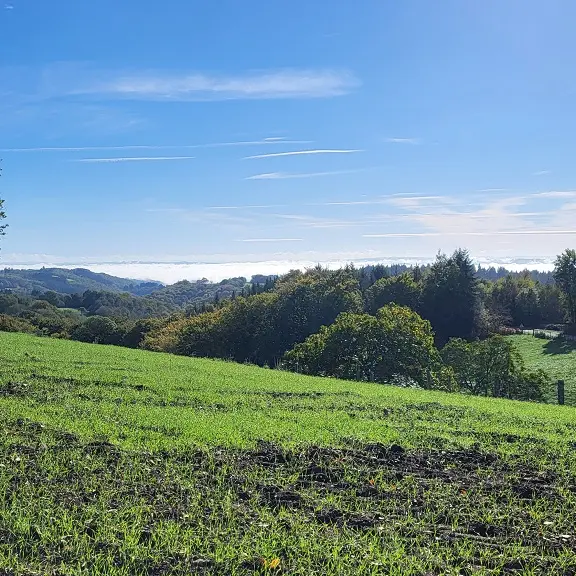 Vue sur le Ségala