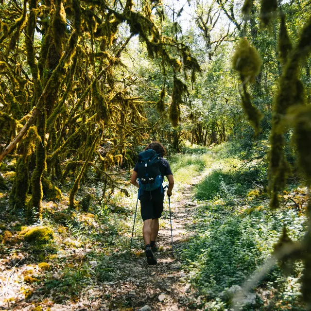 Sur la via Causs'Mos vers Sauliac sur Célé