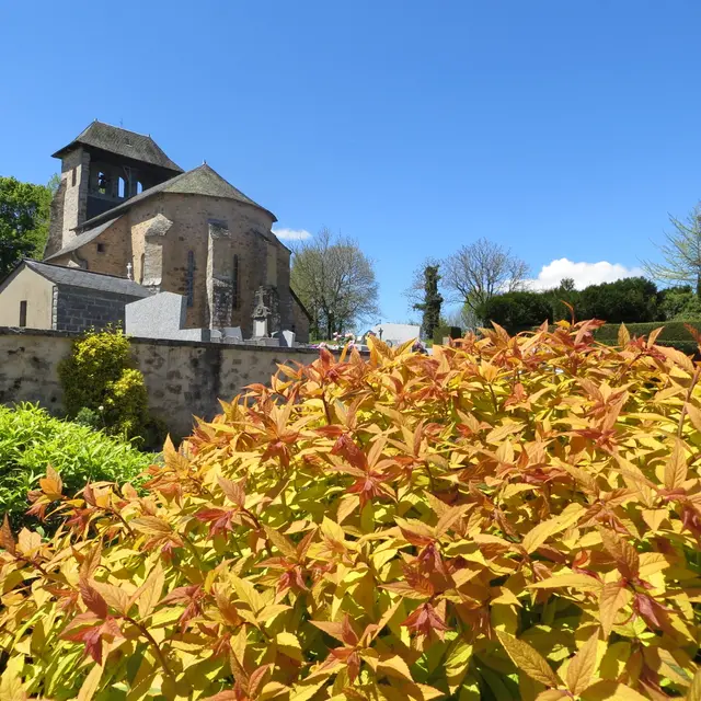 24 NEUVILLE - Le Puy Brezou (1)