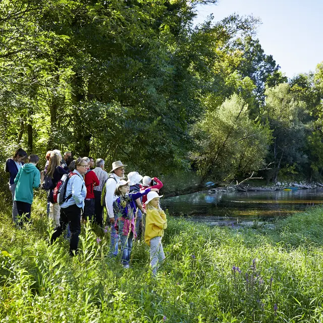 24 mai - Les oiseaux de la vallée de la Dordogne - Département du Lot