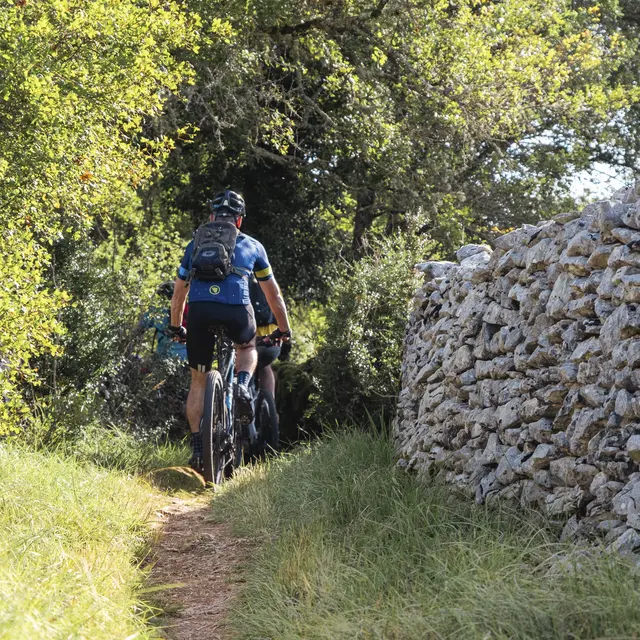 VTT sur les Causses à Marcilhac-sur-Célé