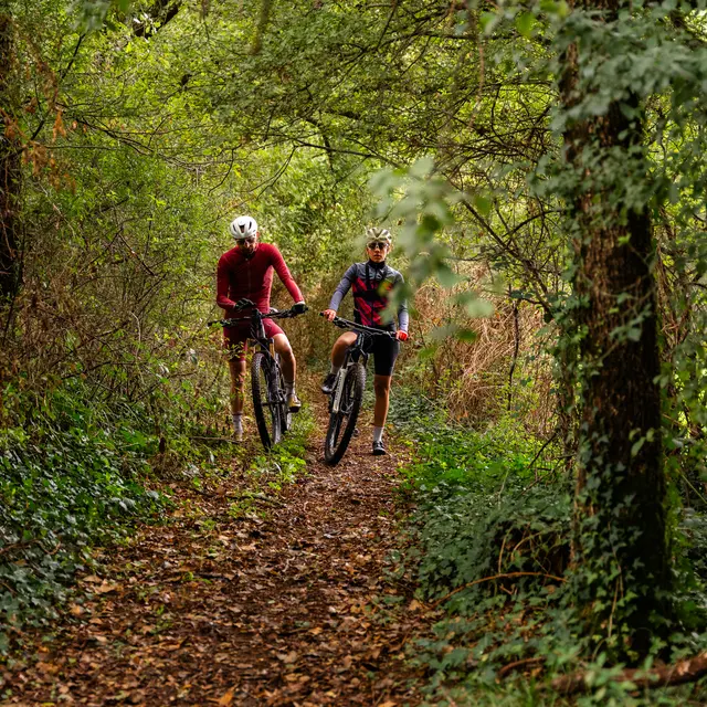 VTT près de Figeac en automne