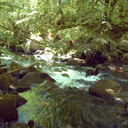 Gorges du Tolerme