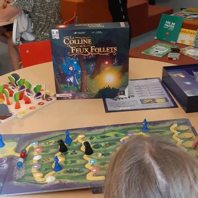 3010 2311 1112-jeux de société-bilio souillac