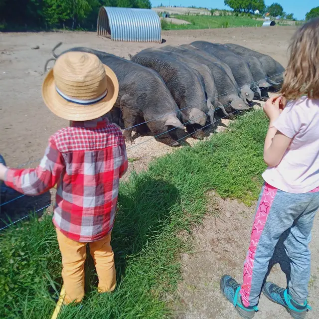 La ferme et les enfants