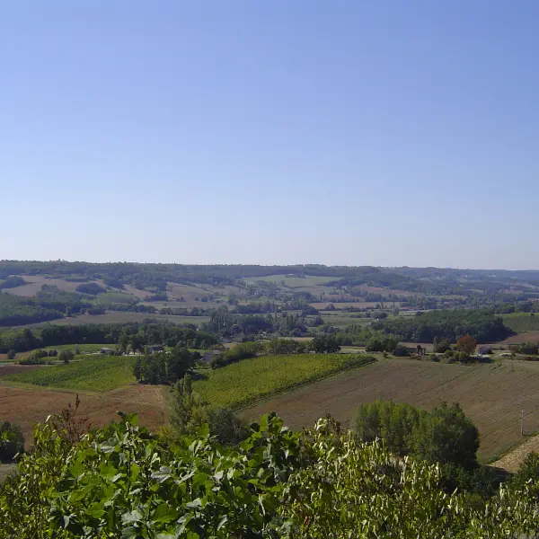 Saux - Vue sur le Vignoble de Cahors