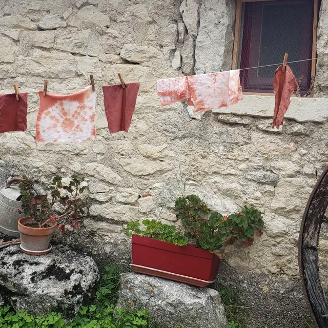 teinture vegetale garance