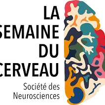 Semaine du Cerveau 2025