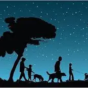 Randonnée Nocturne